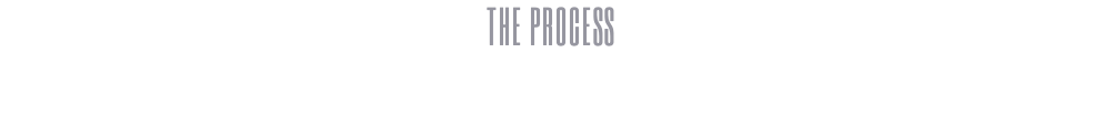 THE PROCESS 