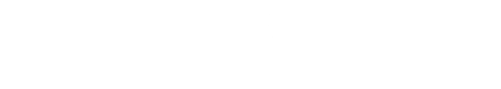 THE SCENARIO 