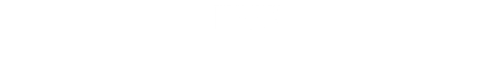 THE PROBLEM 